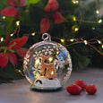 Glass LED Deer Dome