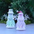 Santa with LED light Christmas Decoration