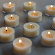 Elm Tea Lights Pack of 6
